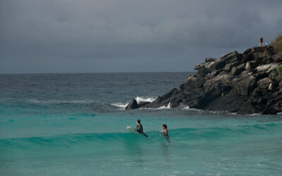 Surf Lessons in Galapagos – Stay Safe and Surf Legally